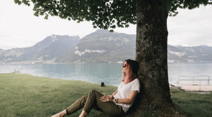 How To Keep Trees Healthy On Your Property